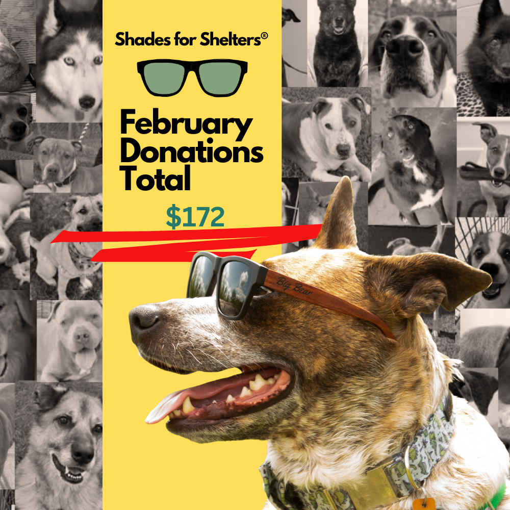 Shades for Shelters® - February Donations