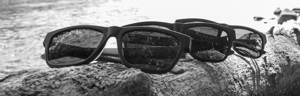 Square acetate sunglasses outside on a log, black and white