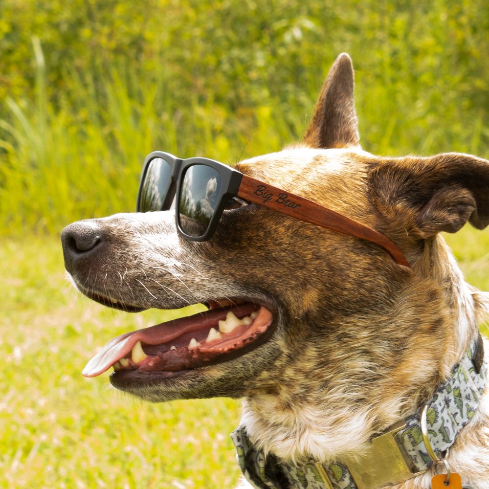 Wood Square Acetate Sunglasses with Green lenses Big Bear