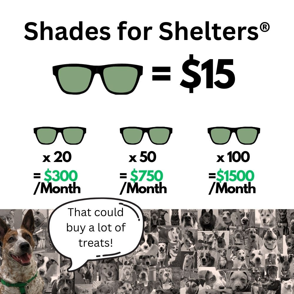 Introduce a new monthly recurring revenue stream to your animal shelter